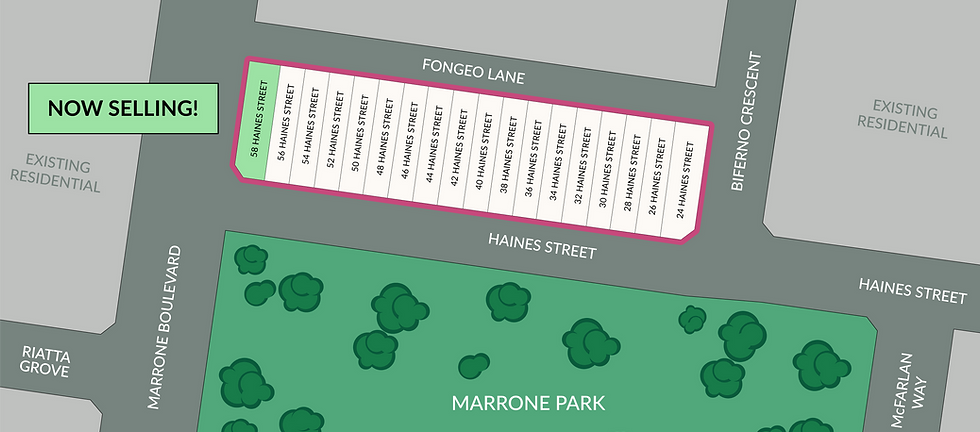 461 Alpana Walk Tarneit